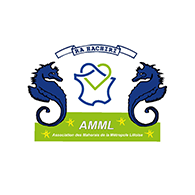 AMML (Association Mahoraise de la Métropole Lilloise )
